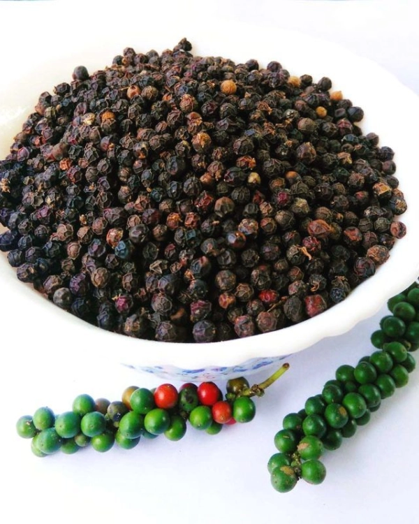 black-pepper-500-gl-faq-bp-500faq